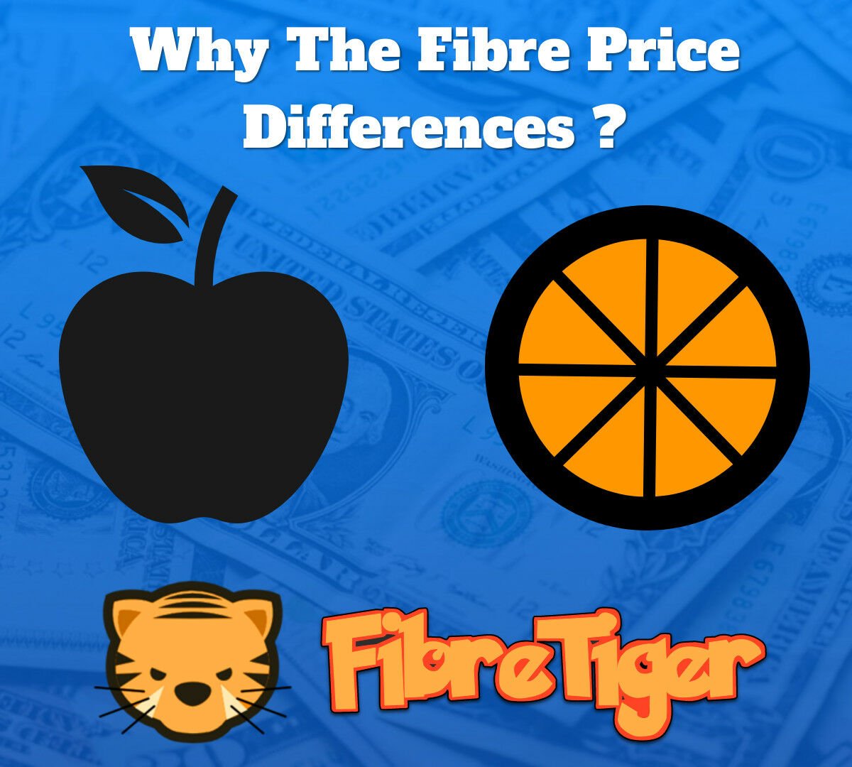 Fibre Price Differences In 2020